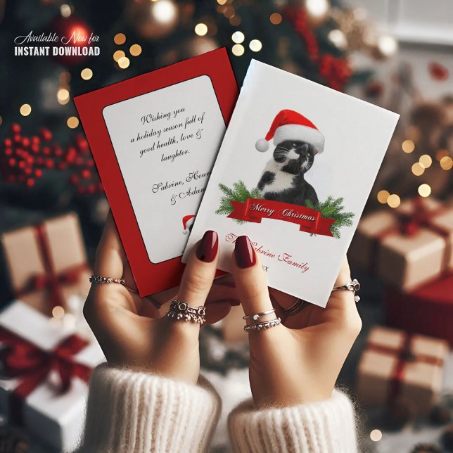 Funny Sarcastic Cat Santas Hat Christmas Party Holiday Card (Creator Uploaded)