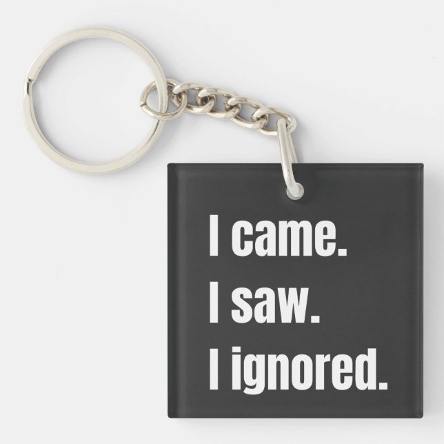 Funny Sarcastic Quote I Came I Saw I Ignored Meme  Key Ring (Front)