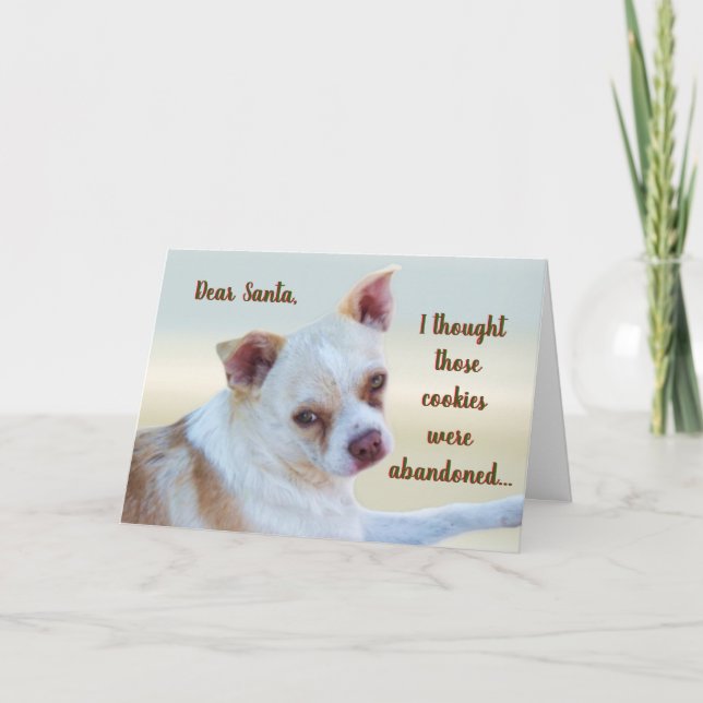 Funny Sassy Naughty Mutt Dog Humour Christmas Card (Front)