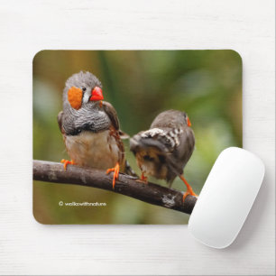 Funny Saucy Cheeky Pair of Zebra Finches Songbirds Mouse Mat