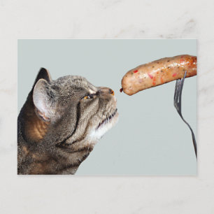 Funny Sausage Cat Postcard