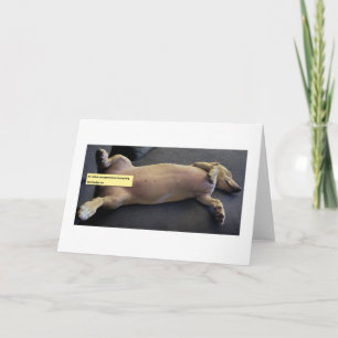 Funny Sauvignon Blanc-Facing Dachshund Card