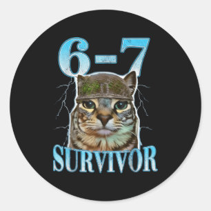 Funny Saying 67 Cats Tummy Ache Survivor Cat Meme  Classic Round Sticker