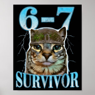 Funny Saying 67 Cats Tummy Ache Survivor Cat Meme  Poster