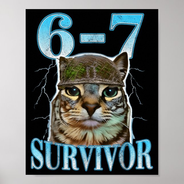 Funny Saying 67 Cats Tummy Ache Survivor Cat Meme  Poster (Front)