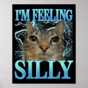 Funny Saying Cat Lover I'm Feeling Silly Cat Meme Poster