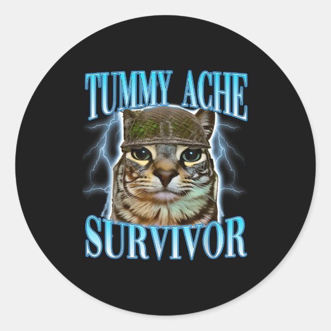 Funny Saying Cats Tummy Ache Survivor Cat Meme Hum Classic Round Sticker (Front)