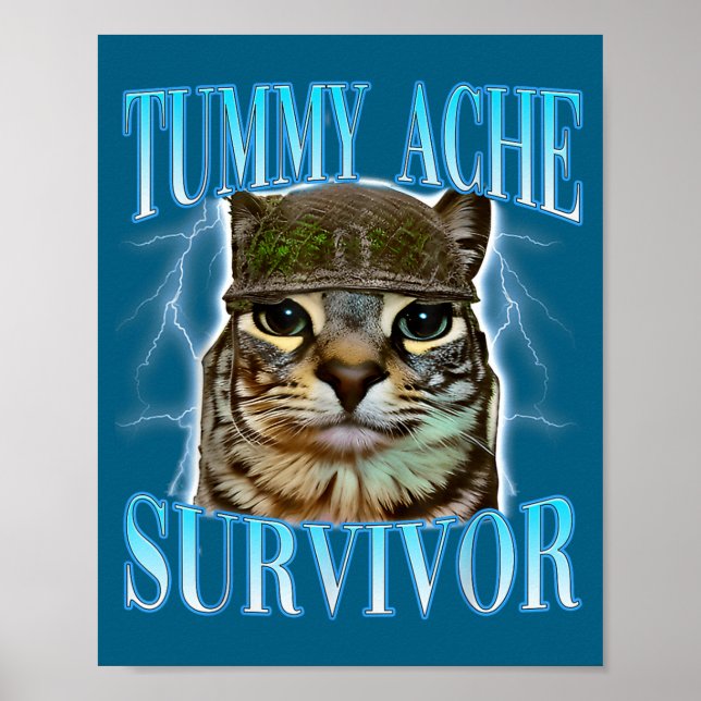 Funny Saying Cats Tummy Ache Survivor Cat Meme Hum Poster (Front)