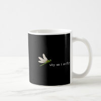 Funny Saying Why Am Fly Dragonfly Pun Insect Lover