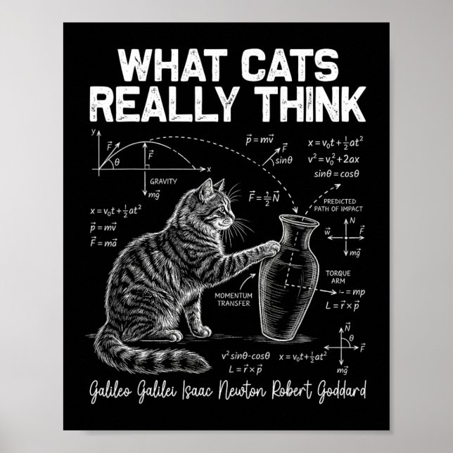 Funny Science Cat Physics Teacher What Cats Really Poster (Front)