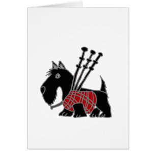 Funny Scottish Terrier puppy dog Playing Bagpipes