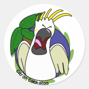 Funny Screaming Citron Cockatoo Classic Round Sticker
