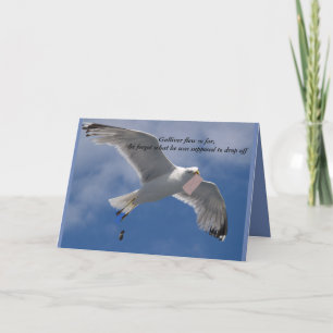 Funny Seagull Birthday card