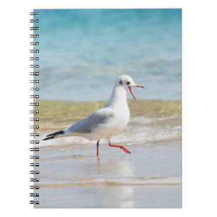 Funny seagull notebook