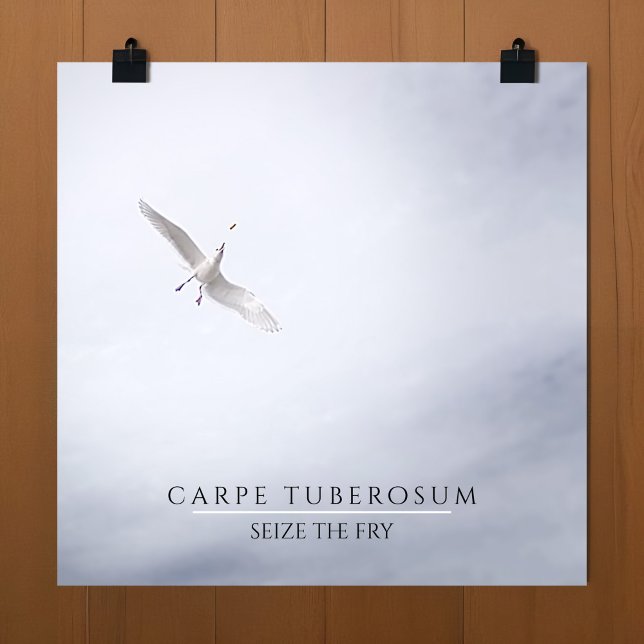 Funny Seagull Seize the Day French Fry Carpe Diem Poster (Funny poster of a seagull catching & eating french fries in mid air with motivational quote)