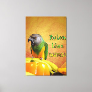 Funny Senegal Parrot Banana Canvas Print