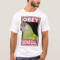 Funny Senegal Parrot - Bird Art