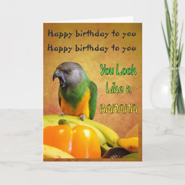 Funny Senegal Parrot Birthday Card (Front)
