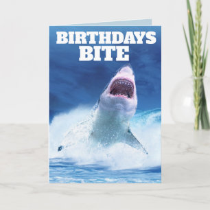 FUNNY SHARK BIRTHDAY CARDS BIRTHDAYS BITE