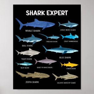 Funny Shark Tee For Men Ocean Fish Kids &amp; Todd Poster