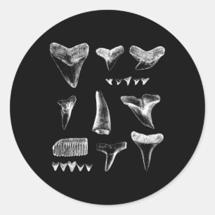 Funny Shark Teeth Design For Men Women Shark Teeth Classic Round Sticker