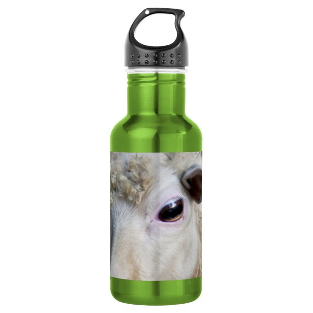 Funny Sheep 532 Ml Water Bottle (Front)