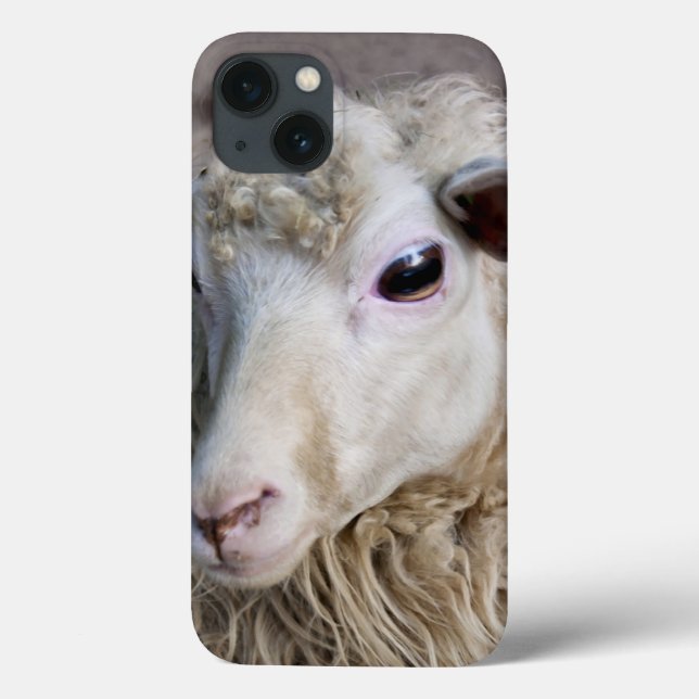 Funny Sheep Case-Mate iPhone Case (Back)