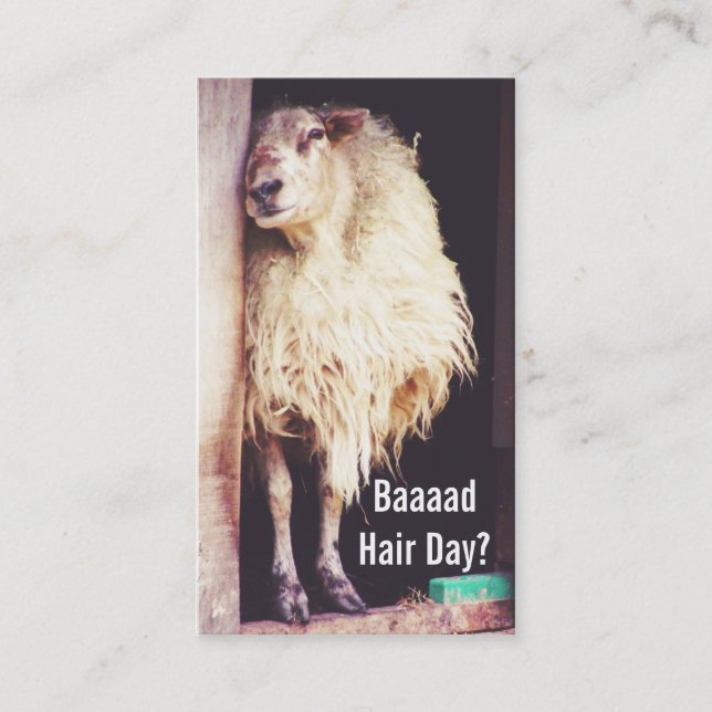 funny sheep hairstylist hair stylist cosmetologist appointment card (Front)