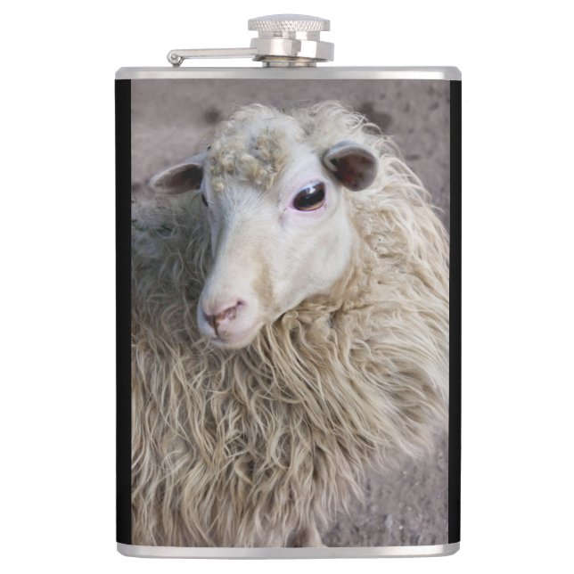 Funny Sheep Hip Flask (Front)