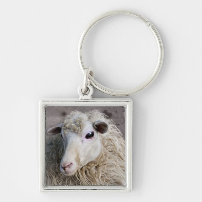 Funny Sheep Key Ring (Front)