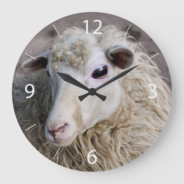 Funny Sheep Large Clock (Front)
