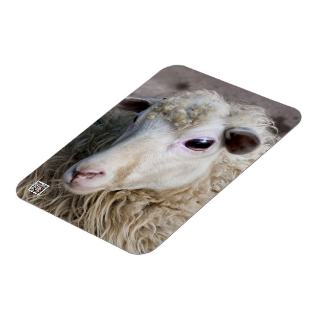Funny Sheep Magnet (Left Side)