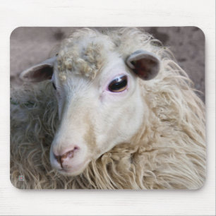 Funny Sheep Mouse Mat