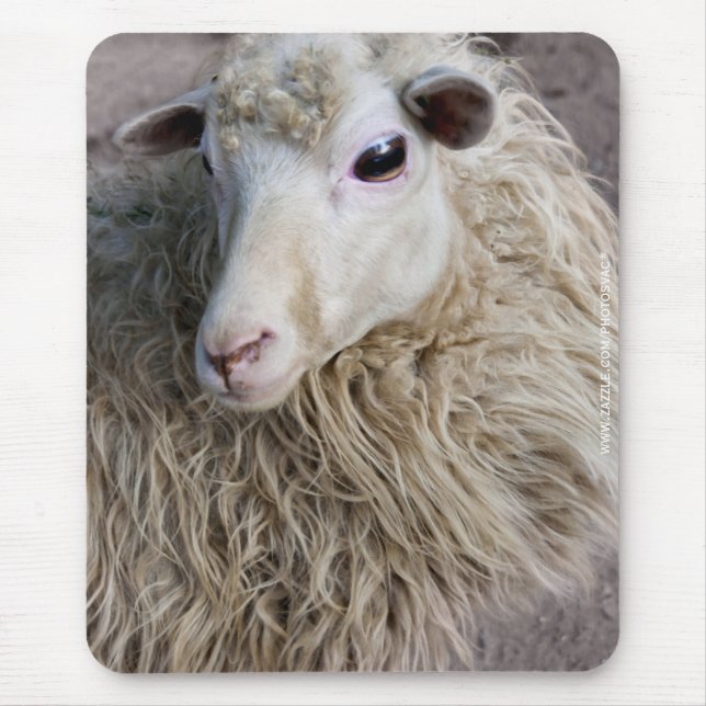 Funny Sheep Mouse Mat (Front)