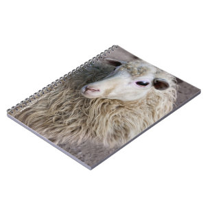 Funny Sheep Notebook