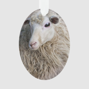 Funny Sheep Ornament