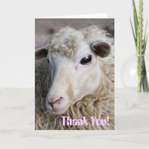 Funny Sheep Thank You Card