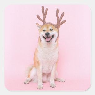 funny shiba inu wearing christmas deer costume square sticker