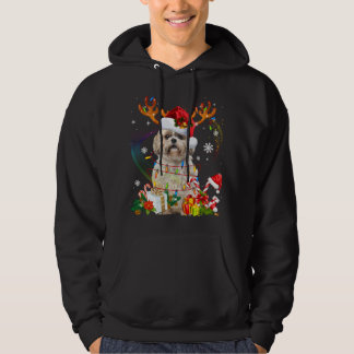 Funny Shih Tzu Christmas Reindeer Christmas Lights Hoodie