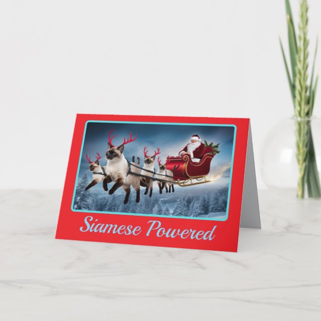 Funny Siamese Cat Christmas Holiday Card (Front)