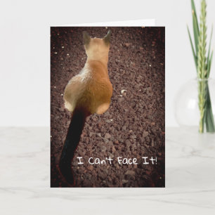 Funny Siamese Kitten Butt Photo Belated Birthday Card