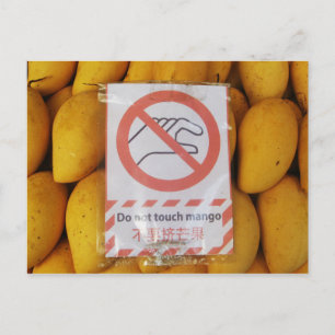 Funny Sign 'Do not touch mango' Postcard
