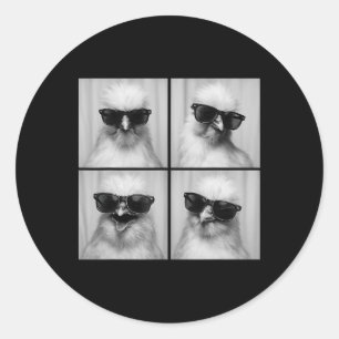 Funny Silkie Chicken Lover Cute Farm Animal Photo Classic Round Sticker