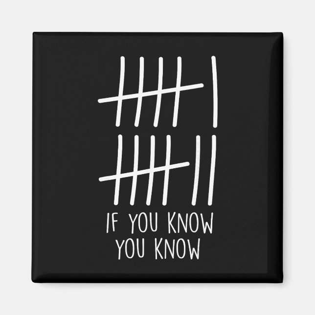 Funny Six Seven 67 Meme Tally Marks If You Know Yo Magnet (Front)