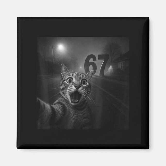 Funny Six Seven 6 7 Meme Gen Z Alpha Slang Cat Sel Magnet (Front)
