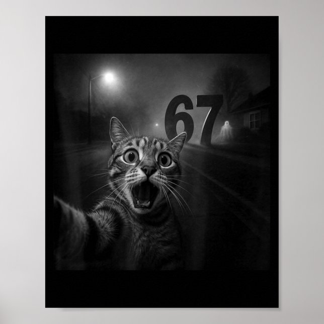 Funny Six Seven 6 7 Meme Gen Z Alpha Slang Cat Sel Poster (Front)