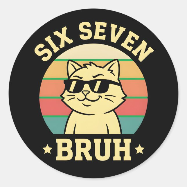 Funny Six Seven Bruh Cat Retro Attitude Cool Vibes Classic Round Sticker (Front)