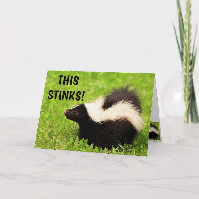 Funny Skunk Feel Better Card (Front)