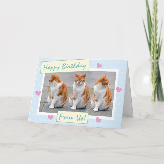 Funny Sky Blue From The Cats Photo Happy Birthday Card (Front)