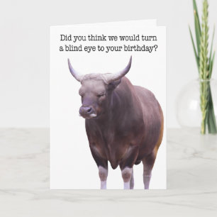 Funny Sleeping Bull Birthday Card